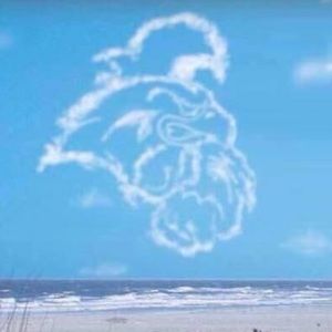 Meet your Posher, Dylan